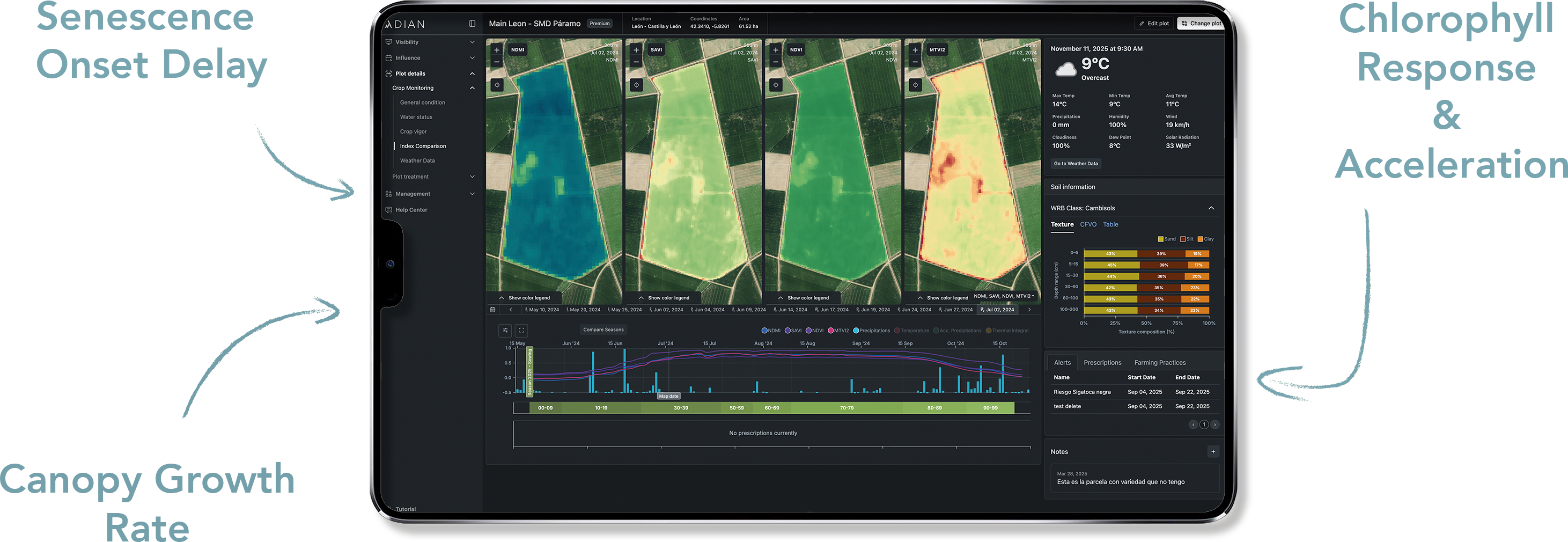 Tablet showing biological activity